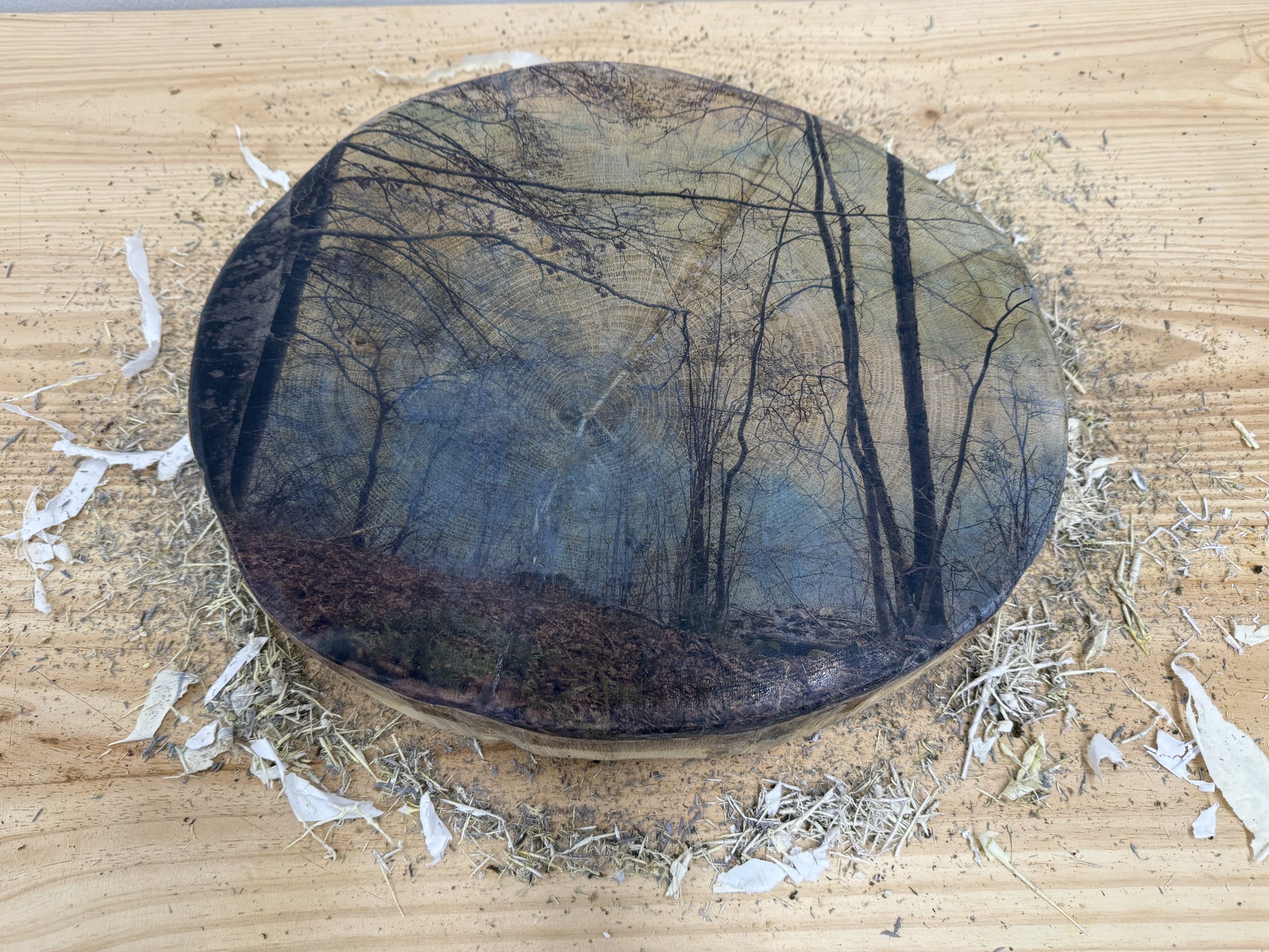 Mari, laminak eta basoko aztarnak - Jaione Lertxundi