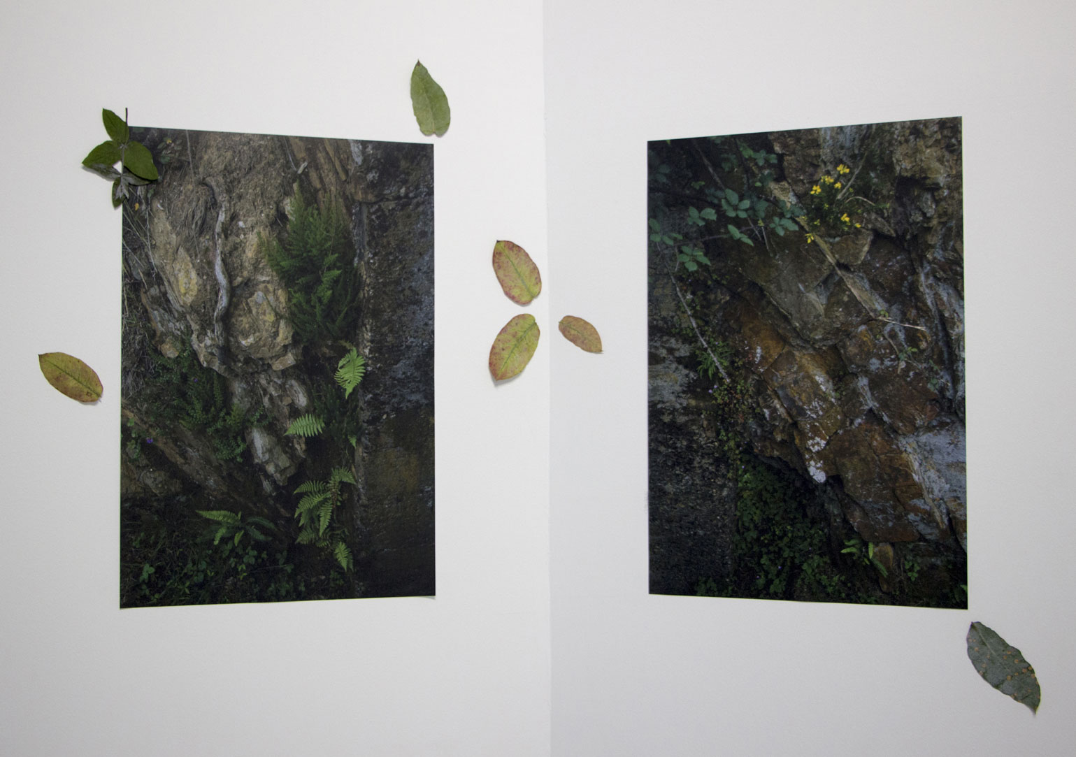 Tierra Quemada - Amaia Molinet