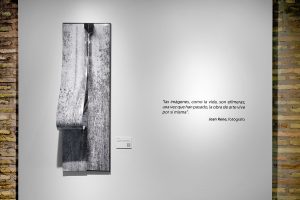 Belén Arévalo Rodríguez A-pariciones