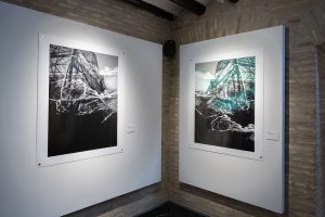 Belén Arévalo Rodríguez A-pariciones