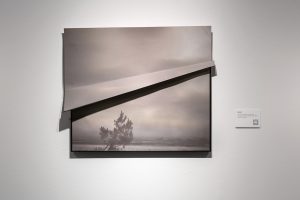 Belén Arévalo Rodríguez A-pariciones