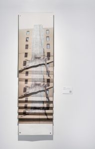 Belén Arévalo Rodríguez A-pariciones