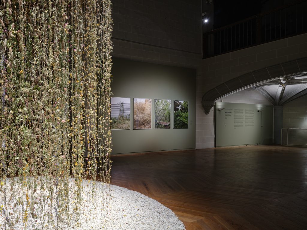 Tercer Paisaje - María Azkarate - Museo de Navarra